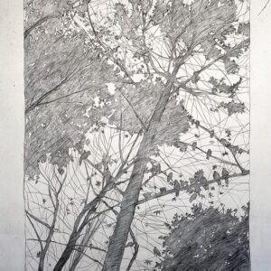 Alternative view of Λίτη Αφροδίτη