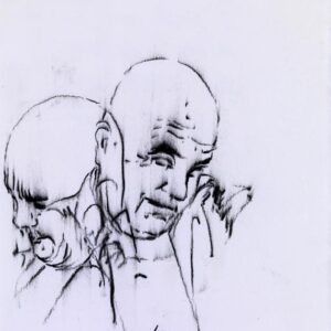 Alternative view of Roig Bernardi